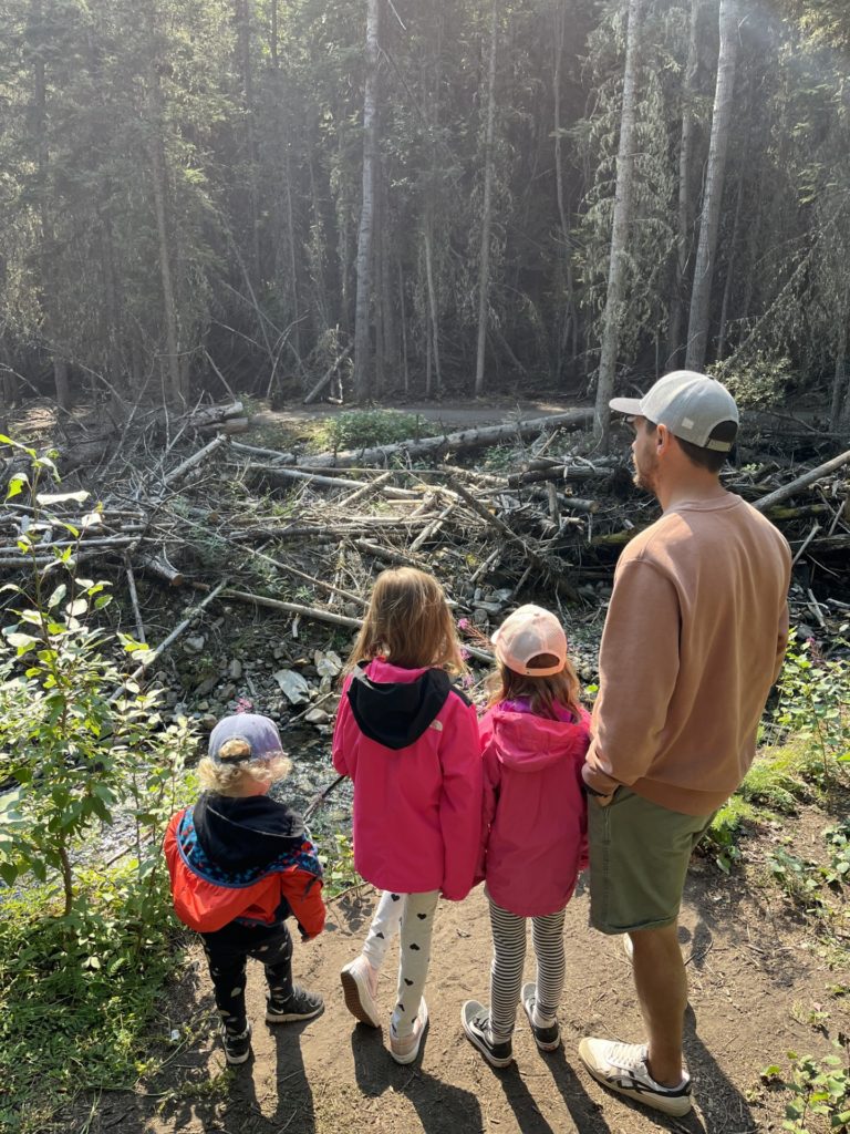 My family hiking Troll Falls in Kananaskis, Alberta. One of our favourite free family activities.
